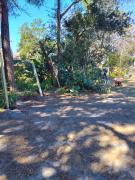 IMG20260207112732902HDR